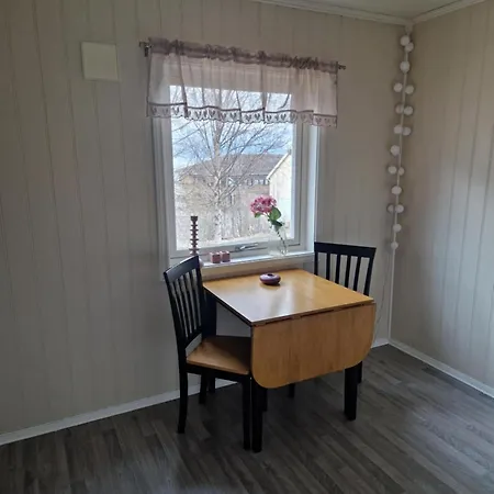 House With Terrace And A Big Garden In Centrum Of * Lyngseidet