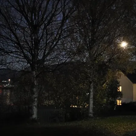 House With Terrace And A Big Garden In Centrum Of Lyngseidet