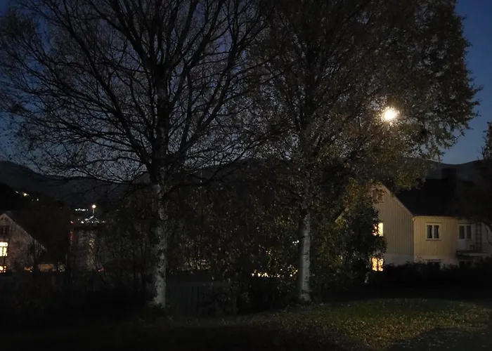 House With Terrace And A Big Garden In Centrum Of Lyngseidet
